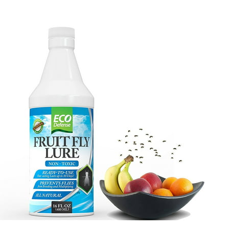 Eco Defense Fruit Fly Trap Natural and Non Toxic