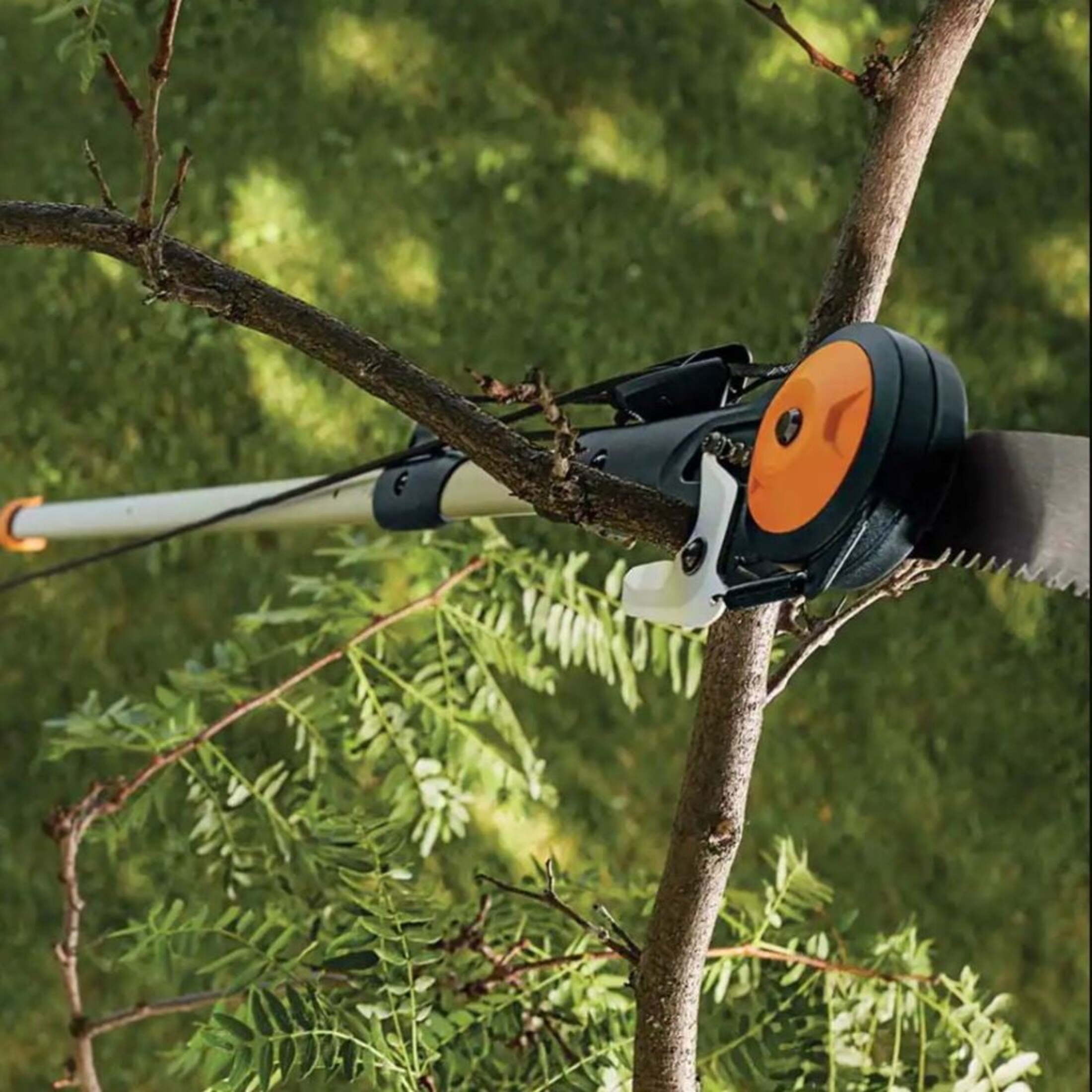 Fiskars 7'-16' Chain-Drive Extendable Tree Pruner and Pole Saw - Cuts up to 1.25" Diameter