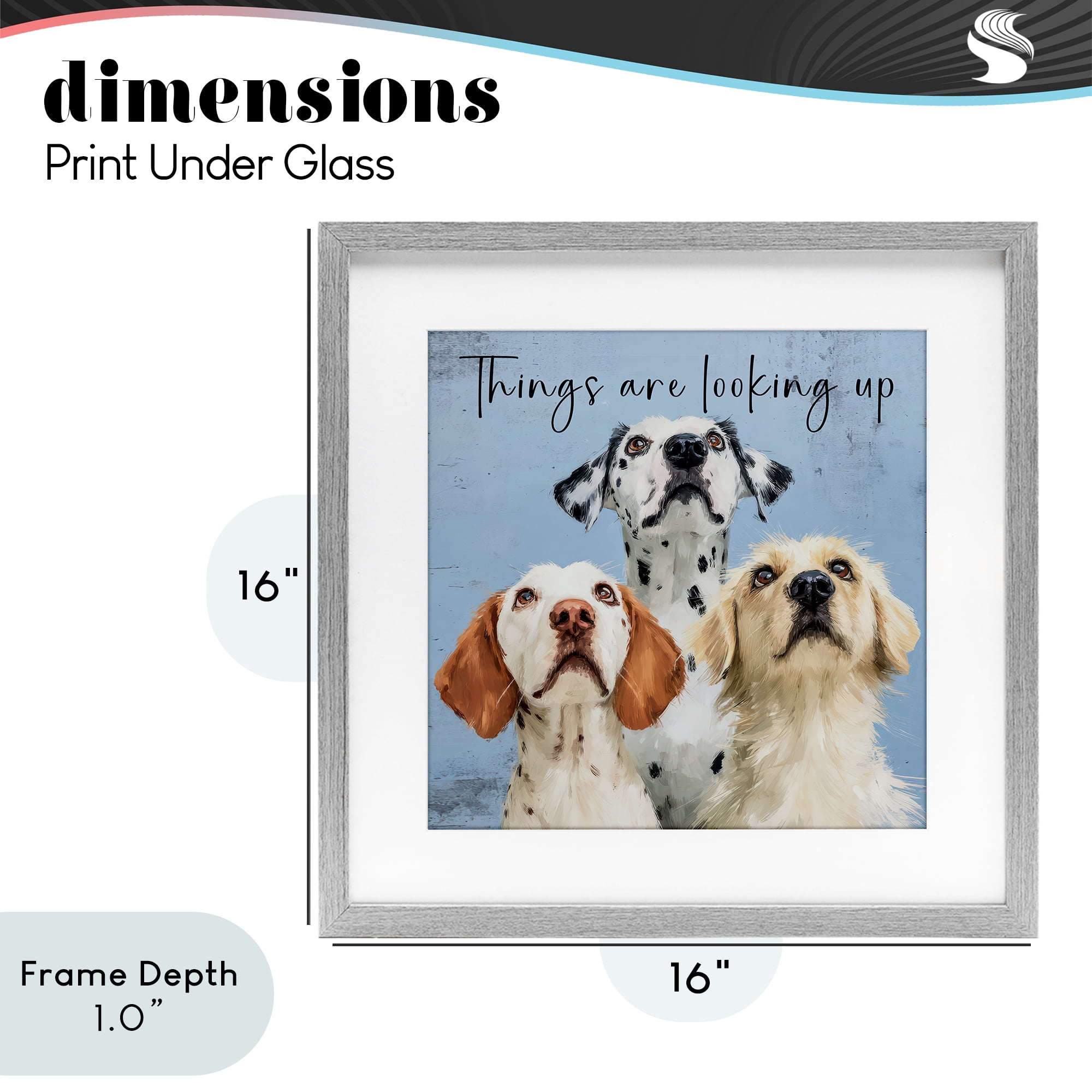 Stupell Industries Things Are Looking Up Gray Framed Print Under Glass, design by Kim Curinga