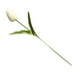 thumbnail image 2 of Bearachild Mini flor artificial, lirio único, tulipán, flor monarca, flor falsa de PU, decoración para el hogar y la Oficina, decoración para Flores artificiales blanco Bearachild HA6563-01B, 2 of 6