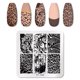 thumbnail image 1 of PICT YOU Nail Stamping Plate Flower Leaf Geometry Stamp Template Nail Image Plate Stencil DIY Impresión Herramientas de acero inoxidable Tan Jianjun unisex, 1 of 2