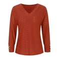 thumbnail image 5 of Women's Tops Dressy Casual V Neck Long Sleeve Buttons Hollow Out Lace Embroidered Blouses Shirts, 5 of 9