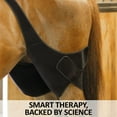 thumbnail image 5 of Schneiders ThermaCool Hot and Cold Therapy Stifle Wraps for Horses | One Size, 5 of 5