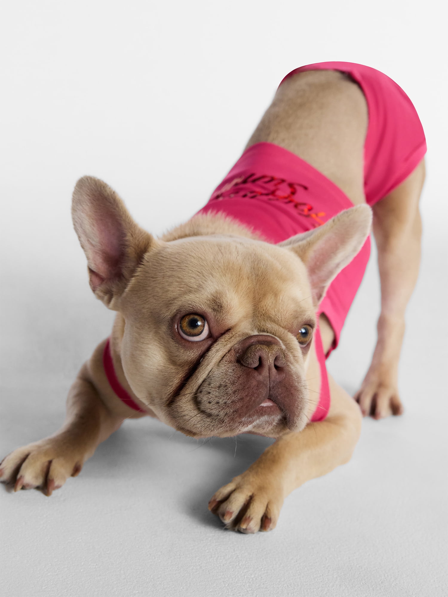 Hot Dog Summer By Megan Thee Stallion Bubblegum Barkini Dog Bikini, Pink, Large