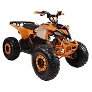HHH Sports ATV 125cc ATV Platinum ATV CT 125-C is Fully Automatic Vitacci 125cc ATV with Reverse and Strong Tires and Matching Rims (Blue Color)