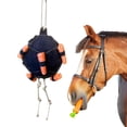 thumbnail image 3 of Toystoory Pelota de golosinas para caballos para alimentar lentamente y jugar felizmente, alivia el estrés y enriquece. Pelota de consumo lento Cuidado ecuestre y deportes, 3 of 6