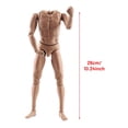 thumbnail image 4 of Figura masculina desnuda, musculosa, articulada, con 28 articulaciones móviles, escala 1:6, de 30 cm. Trigo, 4 of 5
