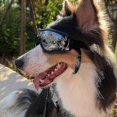 thumbnail image 4 of Dog Sunglasses Anti-uv Waterproof Windproof Eye Protection For Medium And Large Dogs Swimming Goggle, 4 of 5