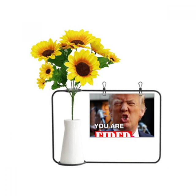 American Trump interesante enojado imagen Tarjeta de bendición de jarrón de girasol artificial