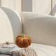 thumbnail image 5 of Cojines de Calabaza, Cojines Decorativos, Cojines para Sofá Cama, Cojines para Muebles de Patio, Cojines para Asiento, Cojines para La Siesta, Cojines para El Coche., 5 of 6