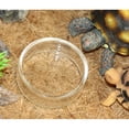 thumbnail image 6 of Soimiss Reptile Feeder Bowl Transparent Multi-Functional for Lizards Turtles Crickets 4Pcs, 6 of 7