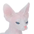 thumbnail image 3 of Sphynx Cat Display Model High Simulation Lifelike Animal Figurine Toy for Collection Decoration PL127‑1563, 3 of 4