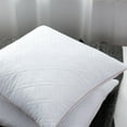 thumbnail image 3 of Peace Nest 20"x20" Goose Feather Down Square Pillow Inserts, Set of 2, 3 of 5