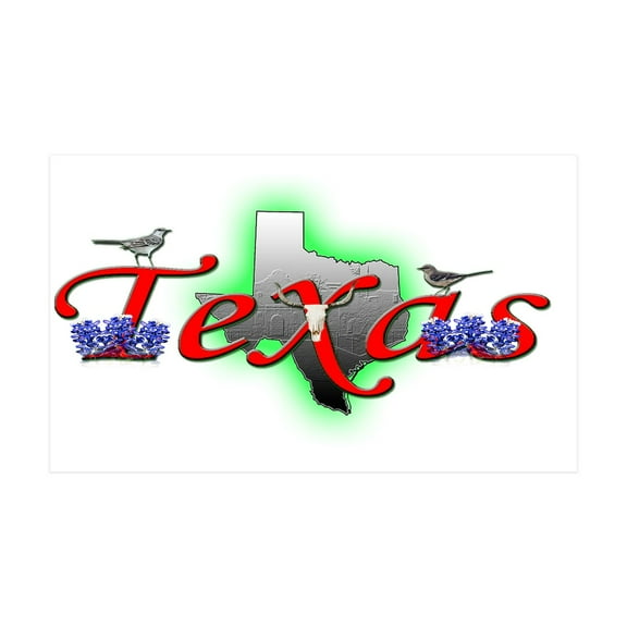 CafePress - Texas - 35x21 Wall Decal