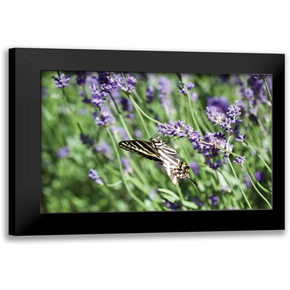 Styber, Dana 14x11 Black Modern Framed Museum Art Print Titled - Lavender and Butterfly I