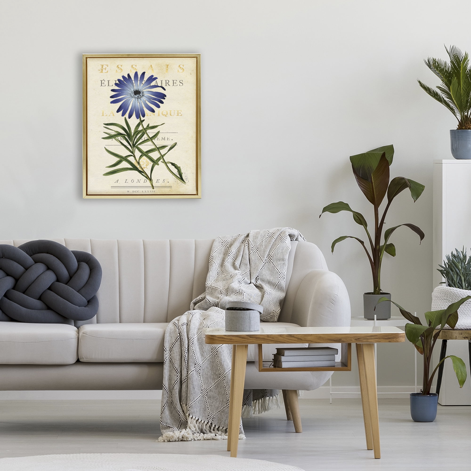 Stupell Industries Natural Botany Daisy Gold Framed Floater Canvas Wall Art, design by Susan Arnot