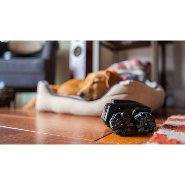 Moorebot Scout - The Tiny AI-powered Mobile Robot for Home
