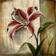 thumbnail image 2 of Great Art Now Vintage Studio I by Patricia Pinto, Framed Wall Art, 13.25W x 13.25H, 2 of 3