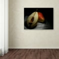 thumbnail image 3 of Trademark Fine Art 'Still Life' Canvas Art by Emine Basa, 3 of 3