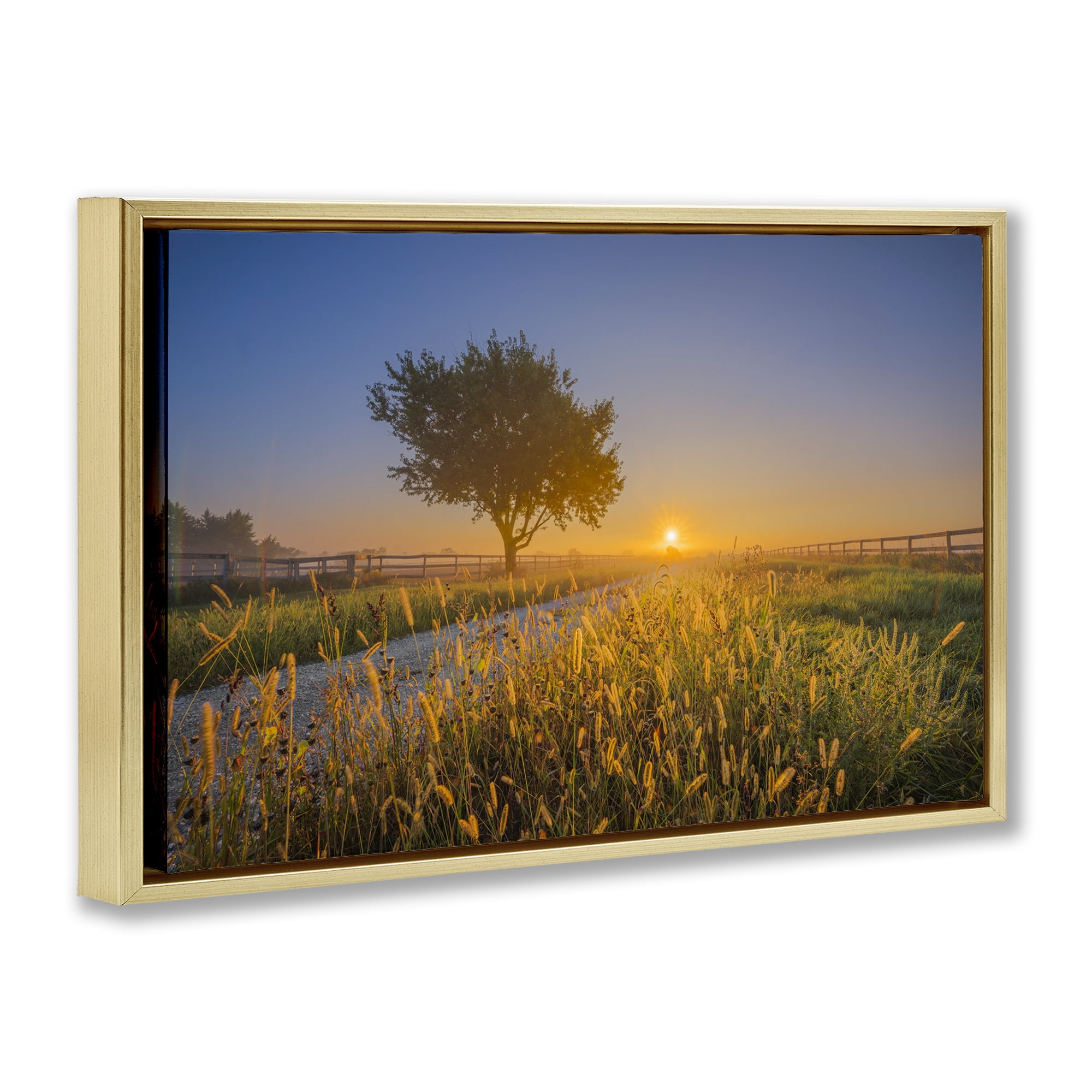 Stupell Industries Rising Sun Horizon Landscape & Nature Photography Gold Floater Framed Canvas Art Print Wall Art, 25 x 17