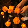 thumbnail image 4 of 4.9 Ft Marigold LED String Lights, Battery Operated Waterproof Decorative Lights for Halloween Day of Dead Party, Mexico Flower for Home Garden Patio Indoor Outdoor, 10 Lights, 4 of 4