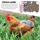 thumbnail image 2 of Delantal de silla de montar para gallinas de corral, chaleco de seguridad para gallinas, delantal de silla de montar para gallinas de corral de doble espesor con protectores de espalda y alas (juego d, 2 of 5