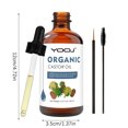 thumbnail image 3 of Fiudx Ofertas y liquidaciones Filamento natural de acetaminofén en buñuelos, hidrata pestañas, cejas y uñas, proporcional y efecto múltiple 60 ml, 3 of 7