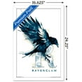 thumbnail image 3 of The Wizarding World: Harry Potter - Ravenclaw Illustrated House Logo Wall Poster, 14.725" x 22.375", Framed, 3 of 5