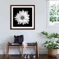 thumbnail image 3 of Art.com White Daisy Photographic Print by Gail Peck, Brown Frame Wall Art, 38" x 38", 3 of 5