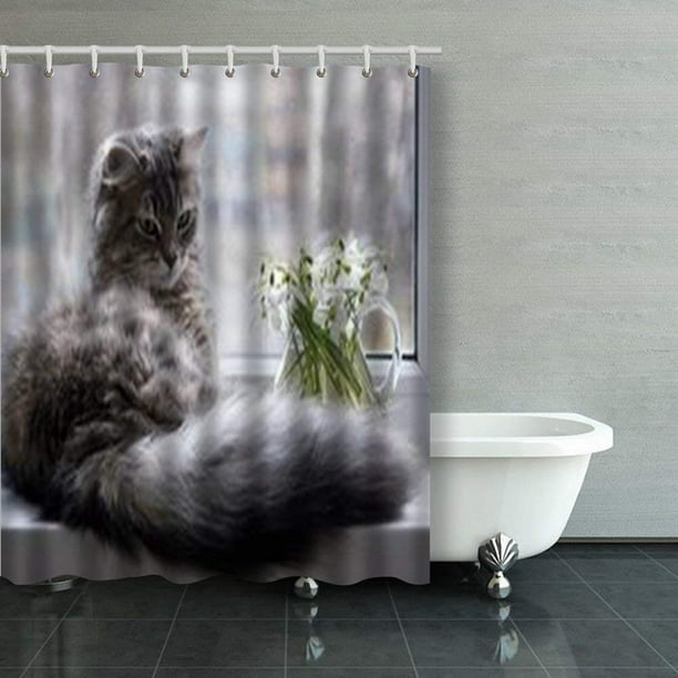 BPBOP Cat On Window Raining Cats Shower Curtains Bathroom Curtain 60x72