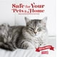 thumbnail image 4 of Limpiador enzimático Nature's Miracle Cat de Urine Destroyer, 3,78 litros, 4 of 5