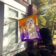 thumbnail image 2 of Carolines Treasures CK3209CHF Hallween Champagne Cockapoo Flag Canvas House Size, 2 of 4