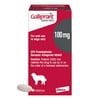 Galliprant (grapiprant) Tablets for Dogs, 100mg, Single Tablet