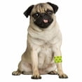 thumbnail image 7 of Andover Petflex 2 inch No Chew Bandage Wrap for Pets  Yellow  5 yard roll, 7 of 7