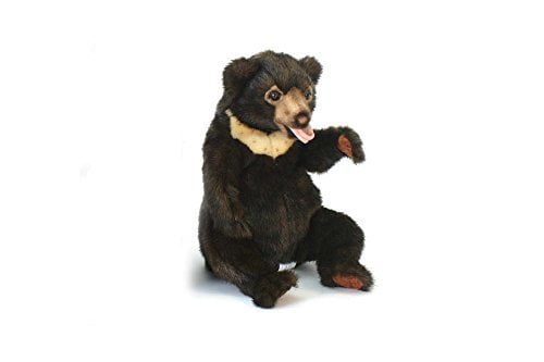 sun bear soft toy