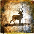 thumbnail image 2 of LightBoxJournal 12x12 Gold Ornate Wood Framed with Double Matting Museum Art Print Titled - High Country Deer, 2 of 4