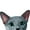Russian Blue Cat, variant on WIRESTER 11 Oz Ceramic Tea Cup Coffee Mug, Russian Blue Cat