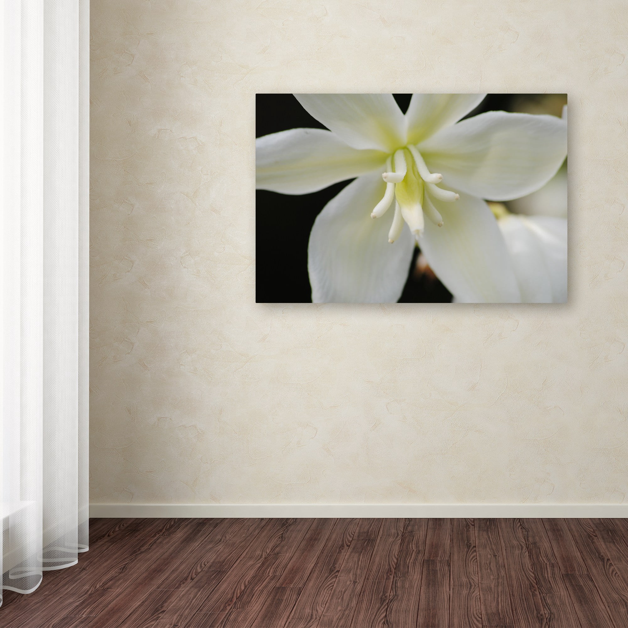 Trademark Fine Art "Hope" Canvas Art by Monica Mize
