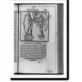 thumbnail image 2 of Historic Framed Print, [Symbolic picture in alchemical text showing crowned man standing on sun and crowned woman standing on moon joining flowers with descending dove, which repre, 17-7/8" x 21-7/8", 2 of 9