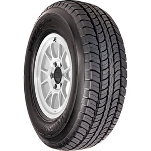 Vantage SUV All Season 255/65R17 110T SUV/Crossover Tire Sansujyuku sansujyuku.com