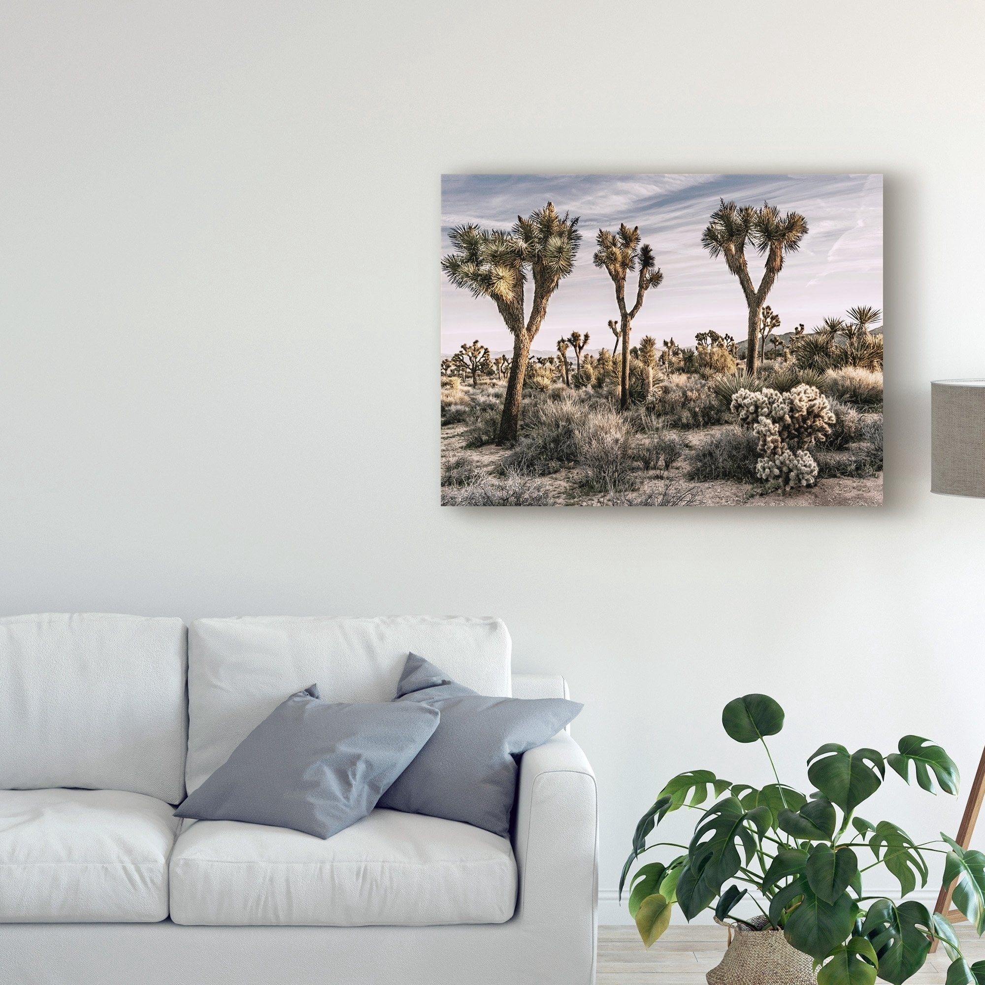 Trademark Fine Art 'Views of Joshua Tree IX' Canvas Art by Rachel Perry
