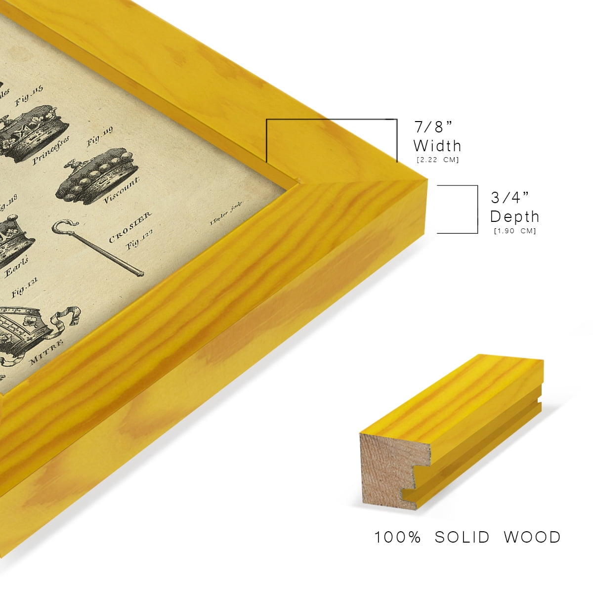 Deckled Encyclopediae IV (AS) -Framed Print w/glass-Sunflower Yellow