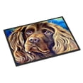 thumbnail image 1 of Carolines Treasures 7402JMAT Tapis Intérieur Ou Extérieur 24 x 36 Po. Boykin Spaniel, 1 of 4