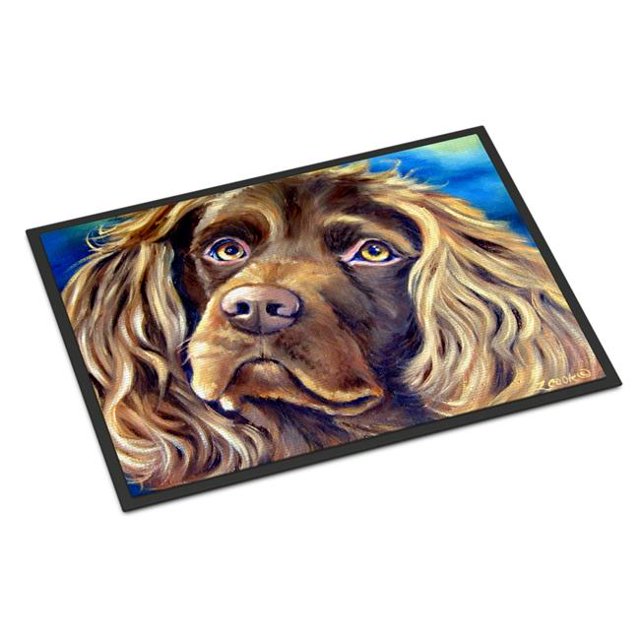 Carolines Treasures 7402JMAT Tapis Intérieur Ou Extérieur 24 x 36 Po. Boykin Spaniel