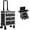 Black-F, variant on Portable Makeup Organizer Suitcase, Stylist Beauty Salon Luggage, Makeup Case w/ 4 Removable Wheels & Sliding Drawers for Barber Store