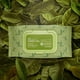 thumbnail image 2 of Toallitas desmaquillantes de te verde chok chok tony moly 100 piezas., 2 of 6