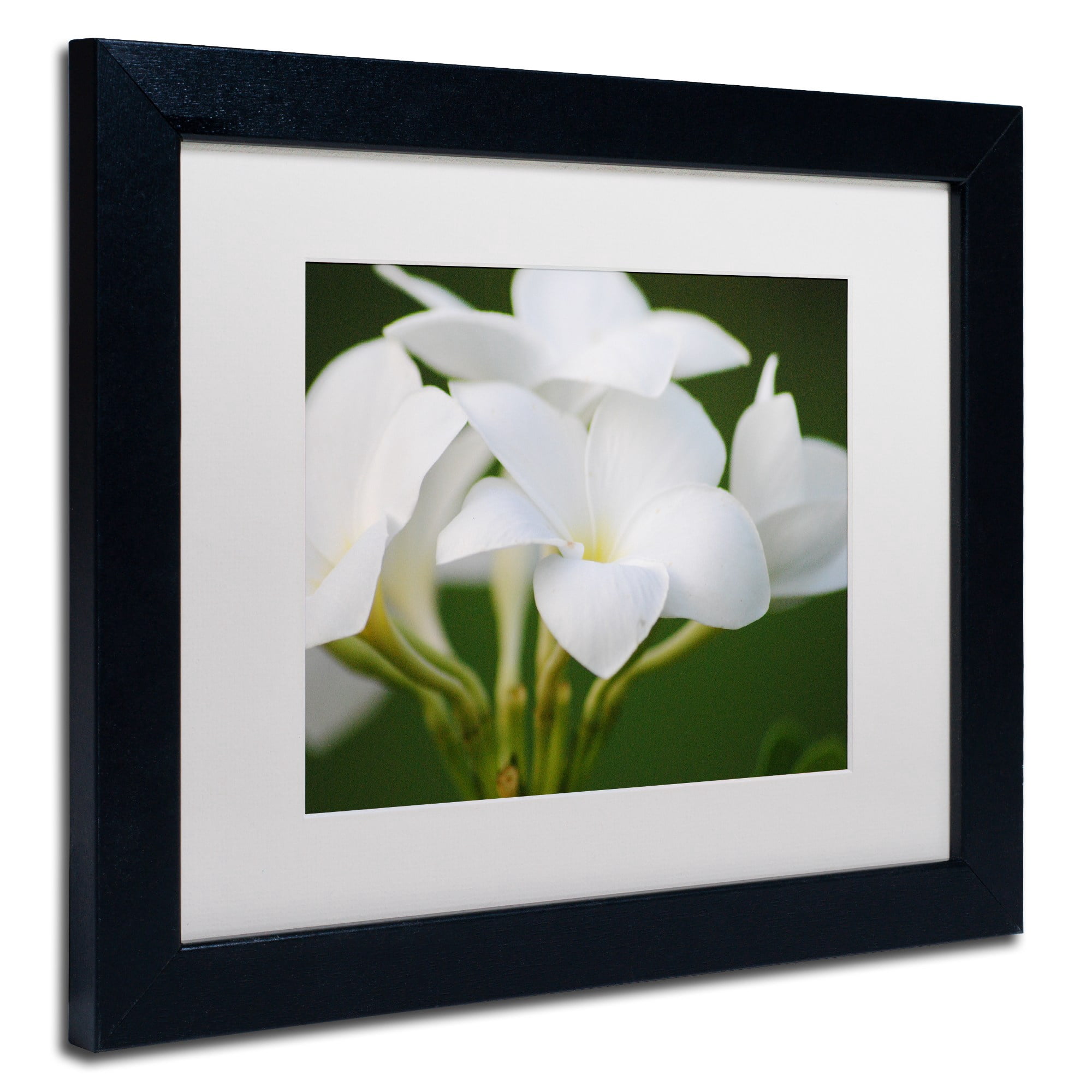 Trademark Fine Art "Picture Perfect" Canvas Art by Monica Mize, White Matte, Black Frame