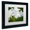 thumbnail image 3 of Trademark Fine Art "Picture Perfect" Canvas Art by Monica Mize, White Matte, Black Frame, 3 of 5