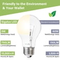 thumbnail image 4 of Paquete de 24 bombillas LED Sigalux EnergyPro A19, 5 W, 2700 K, E26, 4 of 7