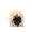 C, variant on Dog Wig, Funny Pet Costume for Small Dogs and Cats, Soft Bouncy High-Temp Fiber Explosion Wig, Hilarious Hairpiece for Halloween Party Photo Booth(5.5Inch,C)